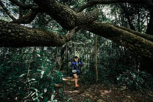 BIB: 
                            <button type="button" onclick="openModal(25705322)" class="btn btn-primary btn-sm float-right btn-popup" data-toggle="modal" data-target=".modal-high-quality">
                        <i class="fas fa-shopping-cart"></i> Add to Cart
                    </button>
                                            <button type="button" onclick="isThisMe(25705322, true)" class="btn btn-success btn-sm float-right btn-popup btn-isme hidden" data-toggle="tooltip" data-placement="bottom" title="นี่คือรูปของคุณใช่ไหม คลิกที่นี่เพื่อเอาเข้าอัลบั้ม">
                        <i class="fas fa-plus"></i> Add to album
                    </button>
                    <button type="button" onclick="isThisMe(25705322, false)" class="btn btn-warning btn-sm float-right btn-popup btn-isnotme hidden">
                        <i class="fas fa-ban"></i> Remove from album
                    </button>